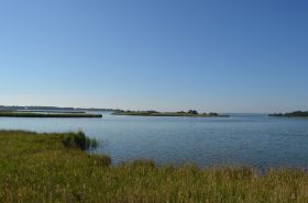 DSC_0303.JPG