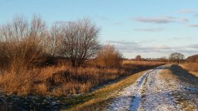 IMG_0569.JPG